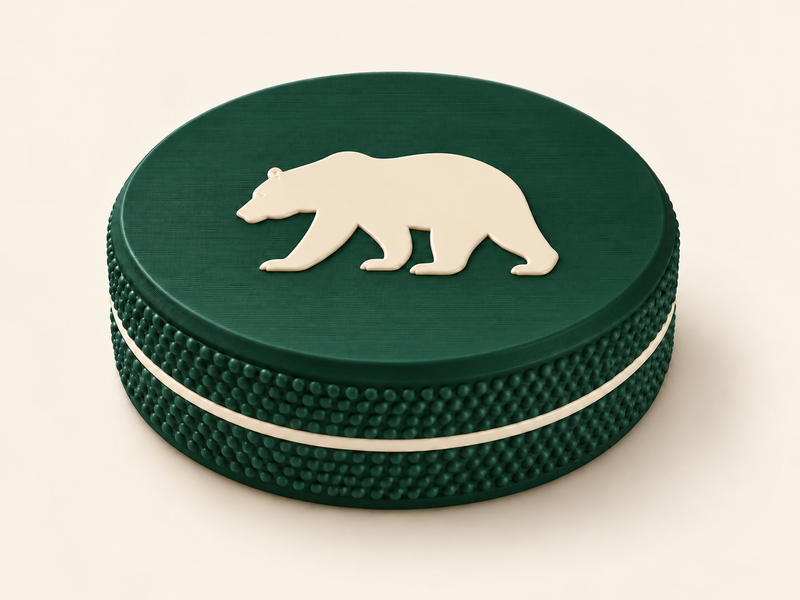Bear Bag